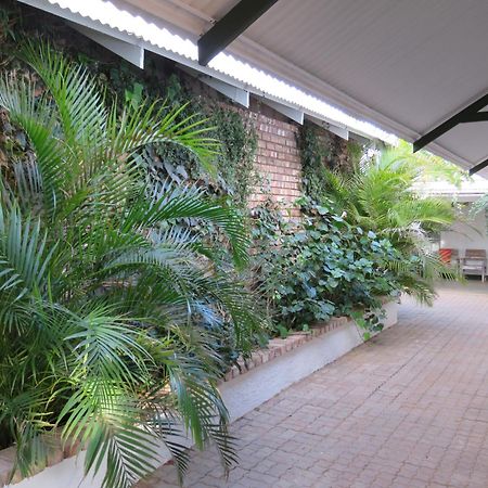 Tropic Of Capricorn Guest Farm 호텔 Rehoboth 외부 사진