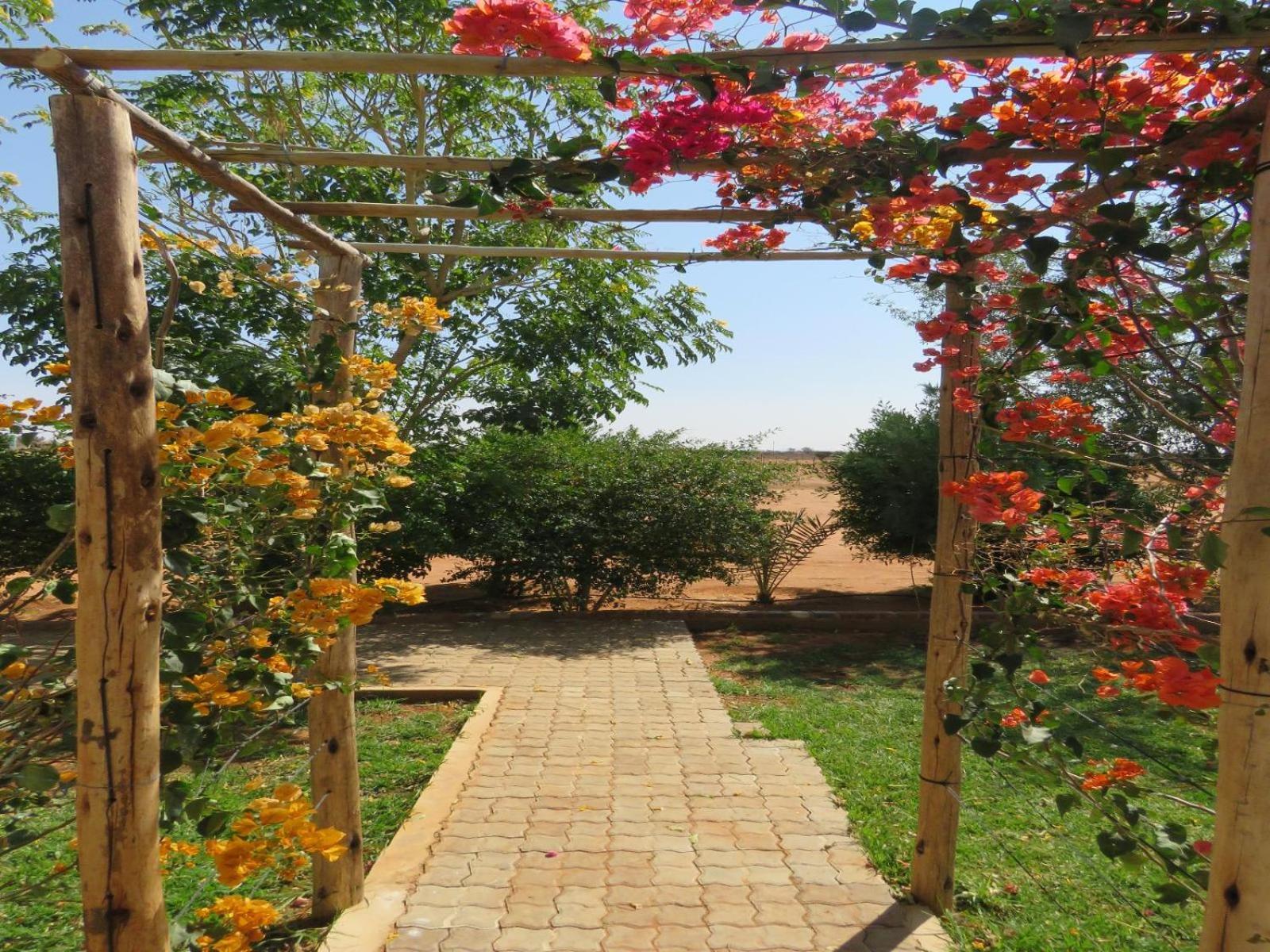 Tropic Of Capricorn Guest Farm 호텔 Rehoboth 외부 사진